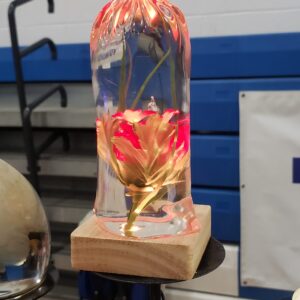 Clear Resin Night Light Bag with red and White Flowers on a lighted led base w/remote